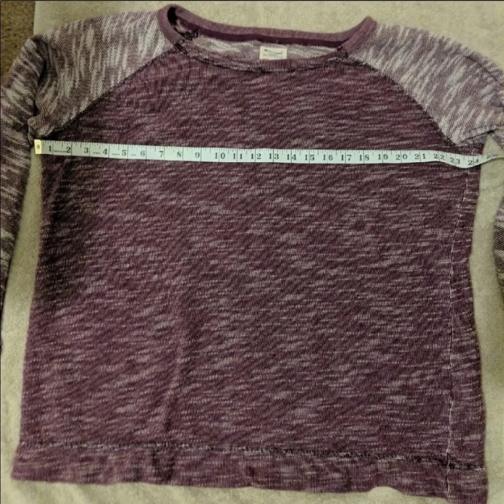 ⛱️Champion - Plum Marled Raglan Sweatshirt - XL
